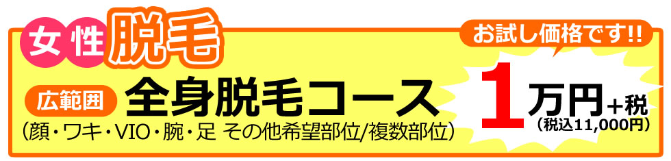 医療レーザー全身脱毛