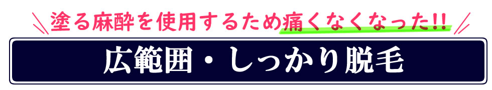 広範囲・しっかり脱毛