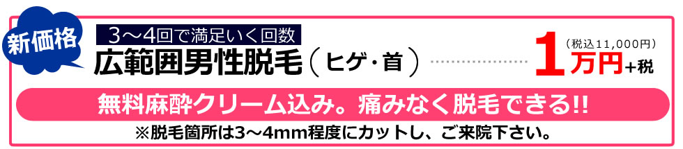 広範囲・しっかり脱毛