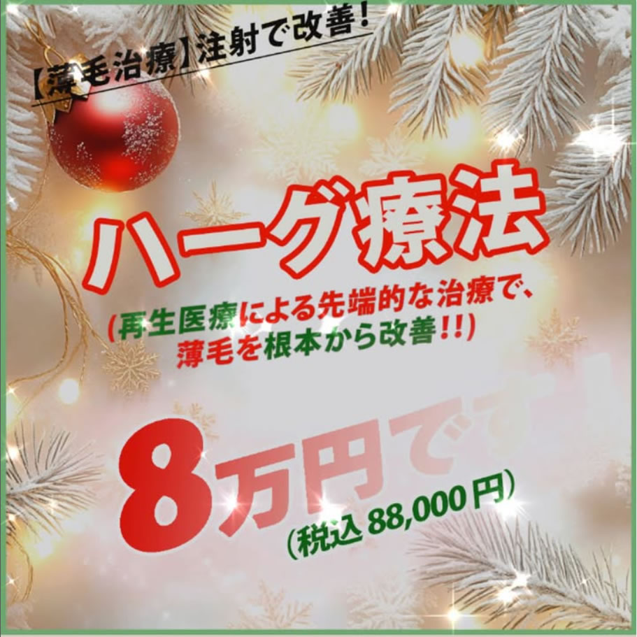 ハーグ療法