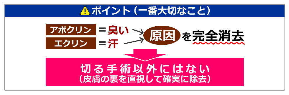 アポクリン（臭い）・エクリン（汗）⇒原因を完全除去するには「切る手術以外にはない」