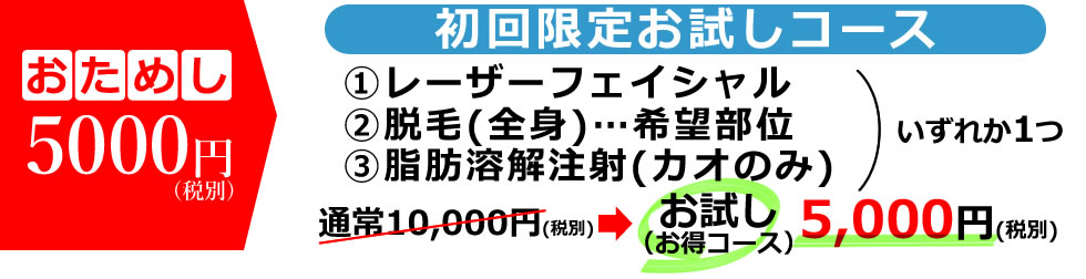 お試し5000円